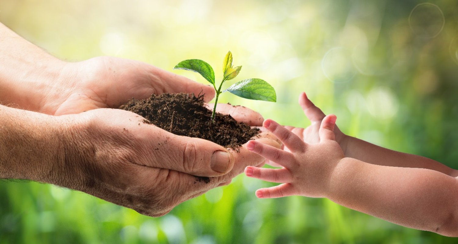 ¿Cómo Cuidar el Medio Ambiente y sus Recursos?
