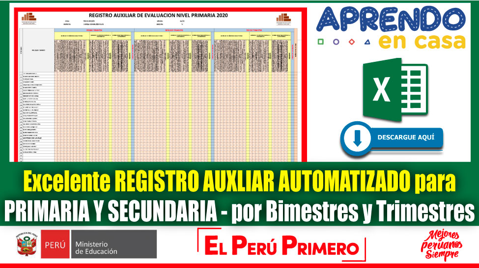 Registro Auxiliar Automatizados Nivel Secundaria 2024