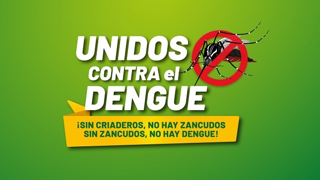 Acerca del Dengue