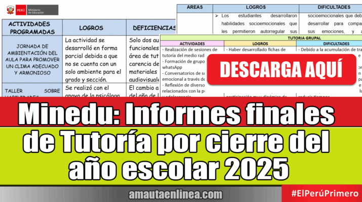 Informe Final de Tutoría