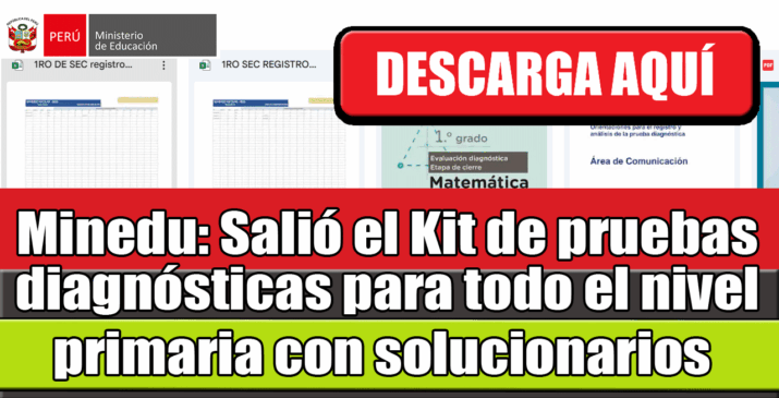 Descarga el Kit de Pruebas Diagnósticas para Primaria