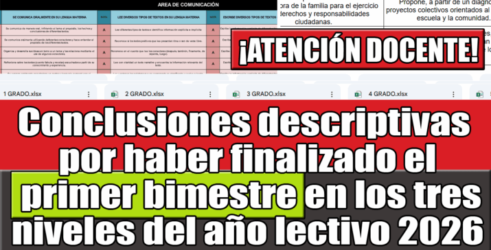Ejemplos de Conclusiones Descriptivas para el Primer Bimestre 2026